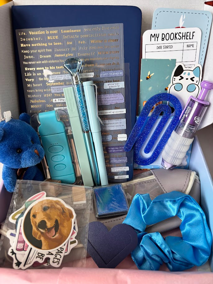 💙 Bookish Bundle – Blue